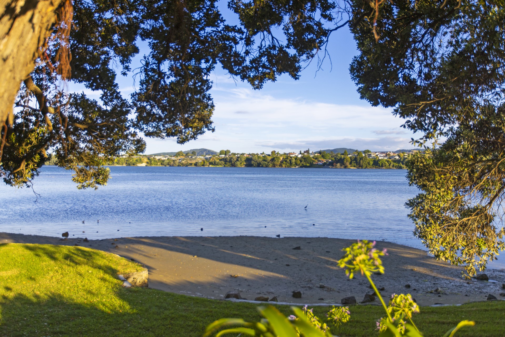 House For Sale in Tauranga South, Bay Of Plenty For Bay Of Plenty